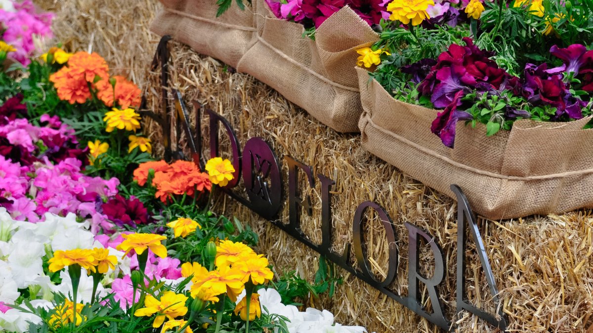 Una de les composicions florals d'Andoflora