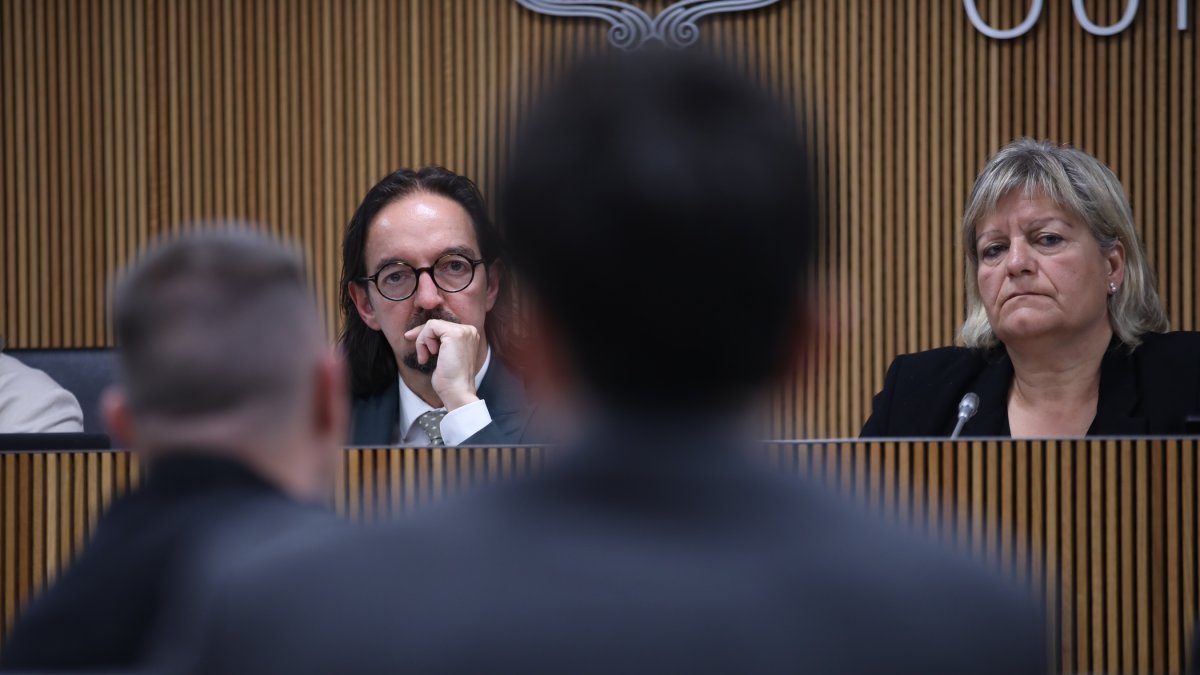 Riba, durant la compareixença.