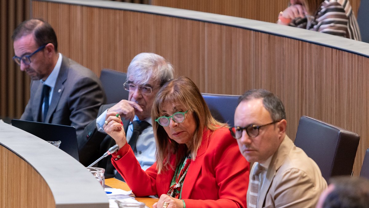 Conxita Marsol en la sessió de preguntes al Consell aquest matí