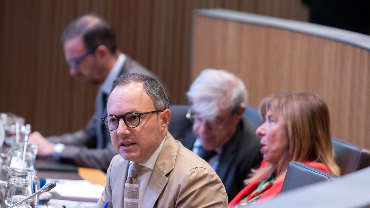 Espot avui al Consell General