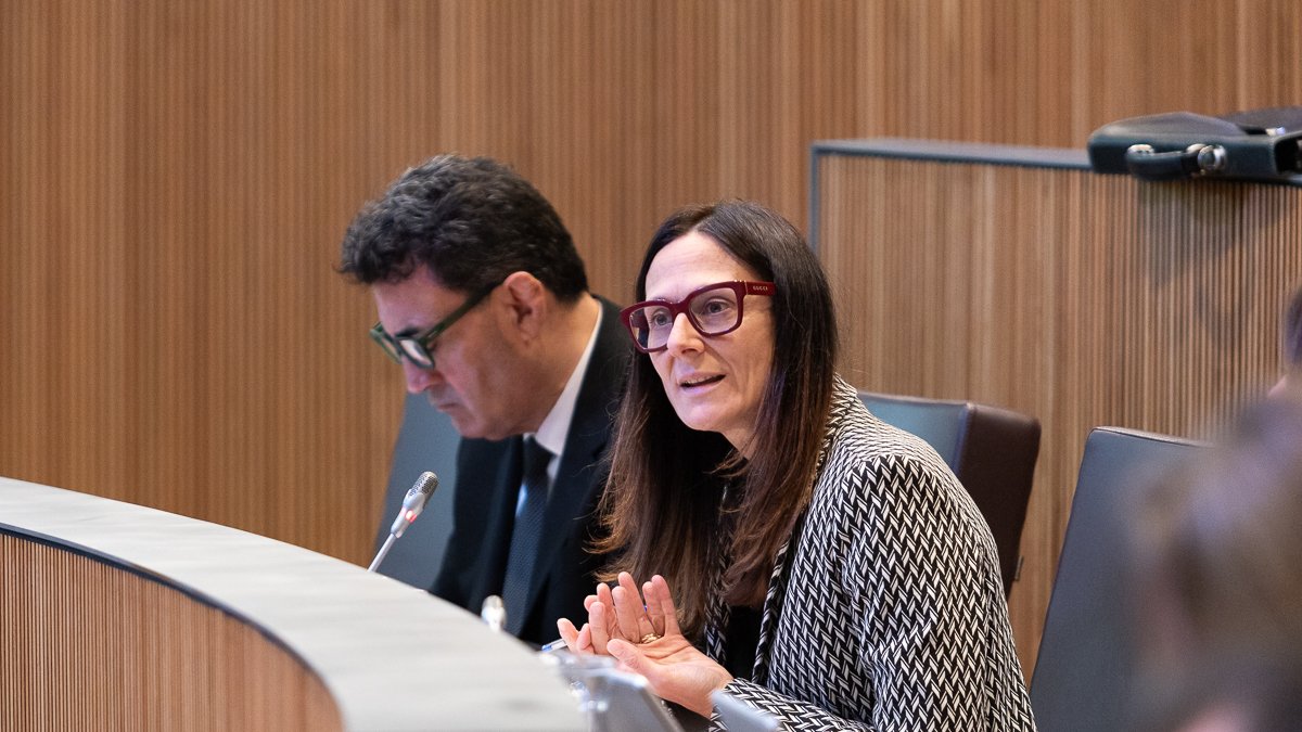 La ministra Ester Molné en la sessió de Consell General aquest matí