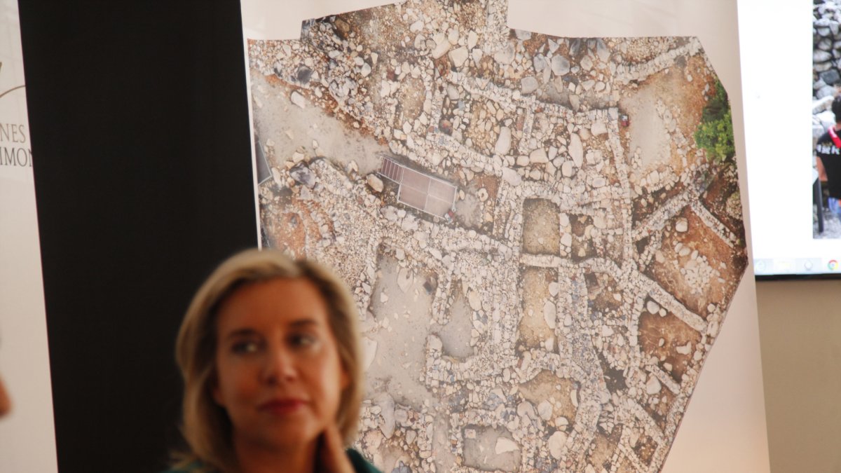 Imatge dels terrenys de la Roureda de la Margineda