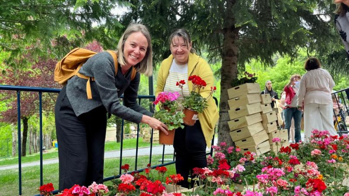 Unes paradistes d’Andoflora.
