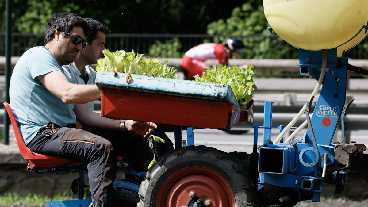 Treballadors en un camp.