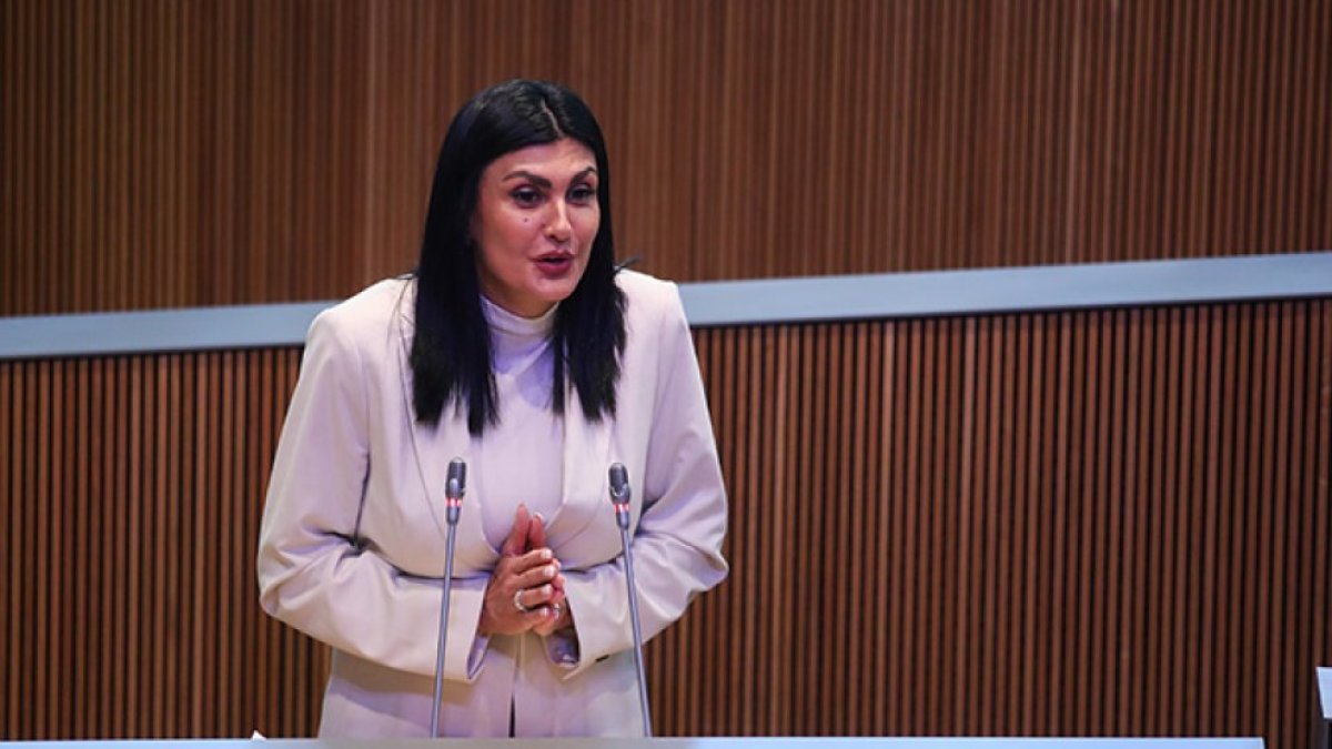 Carine Montaner al Consell General.