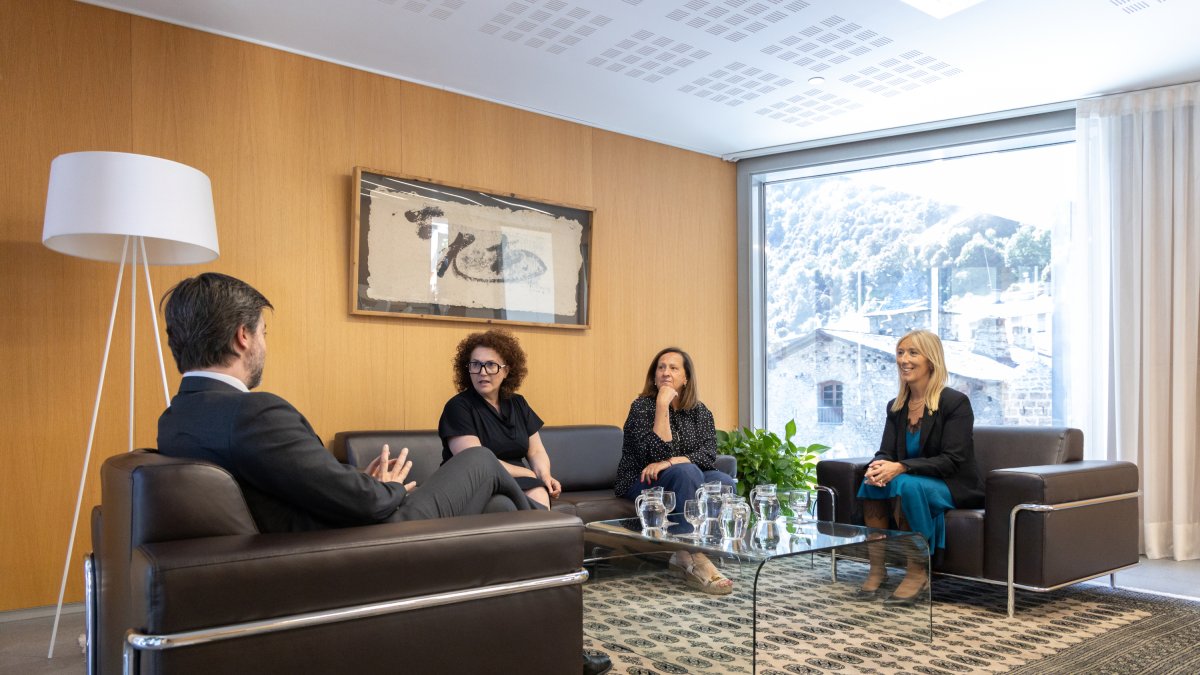 La trobada que han mantingut aquest dimecres els síndics generals i les representants de l'IAD.