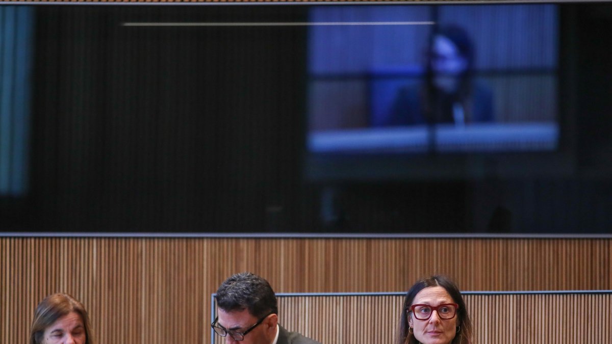 La ministra Ester Molné en una sessió al Consell General