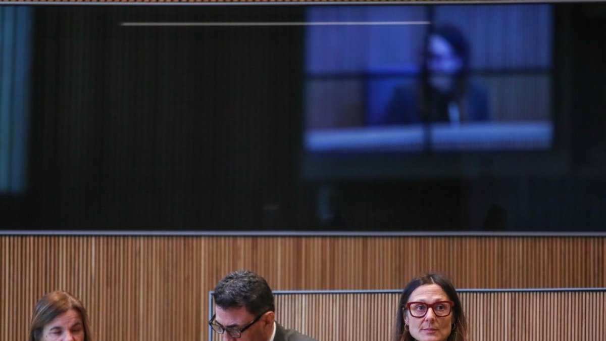 Molné en una compareixença al Consell General.