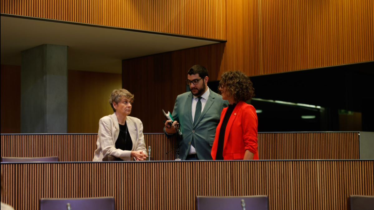 El grup parlamentari del Partit Socialdemòcrata al Consell General.
