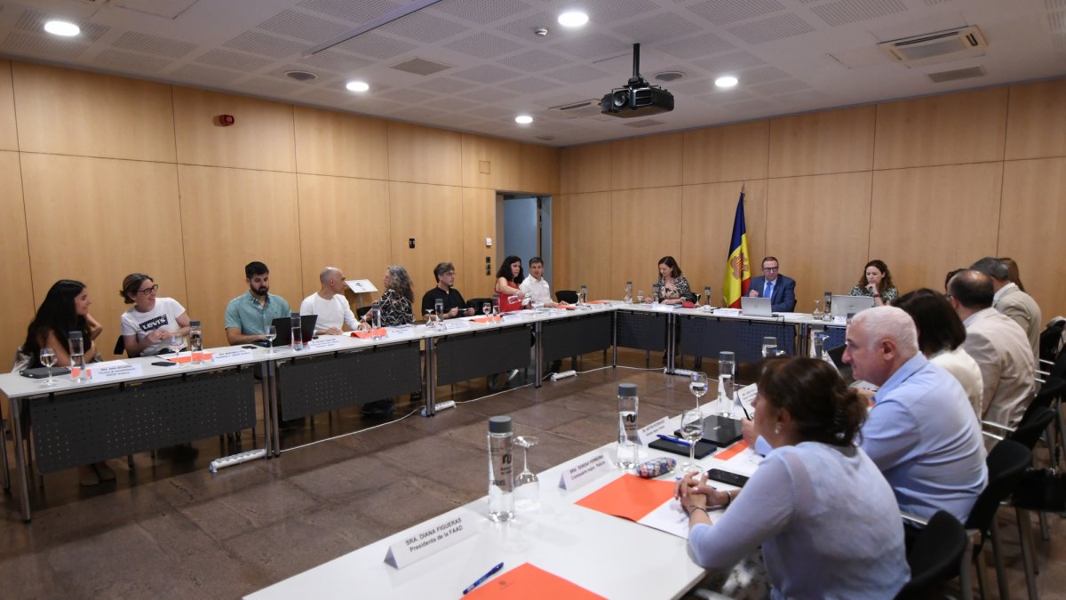 Reunió de la Comissió Nacional de la Infància i Adolescència