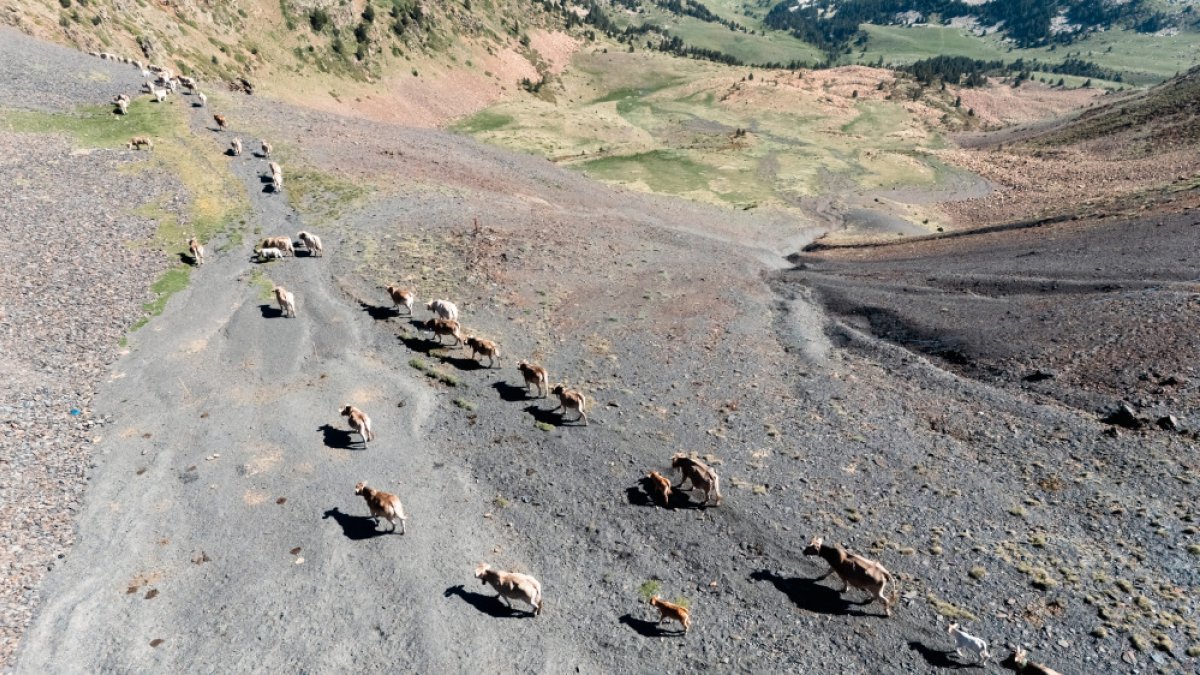 Una seixantena de persones van anar des de la Rabassa fins al port Negre