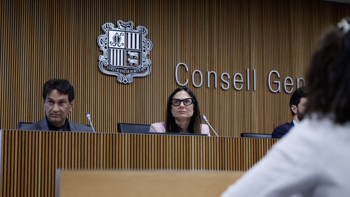 Ester Molné a la compareixença d'avui