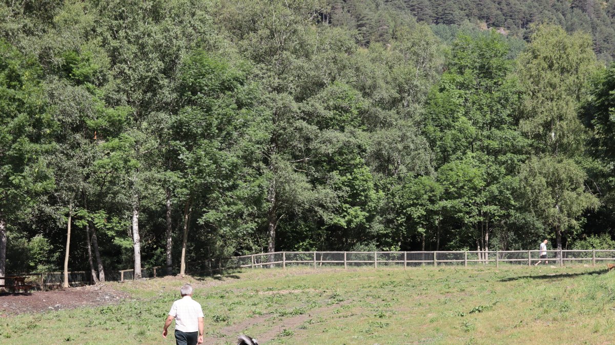 Una persona amb el seu gos passejant pel parc caní