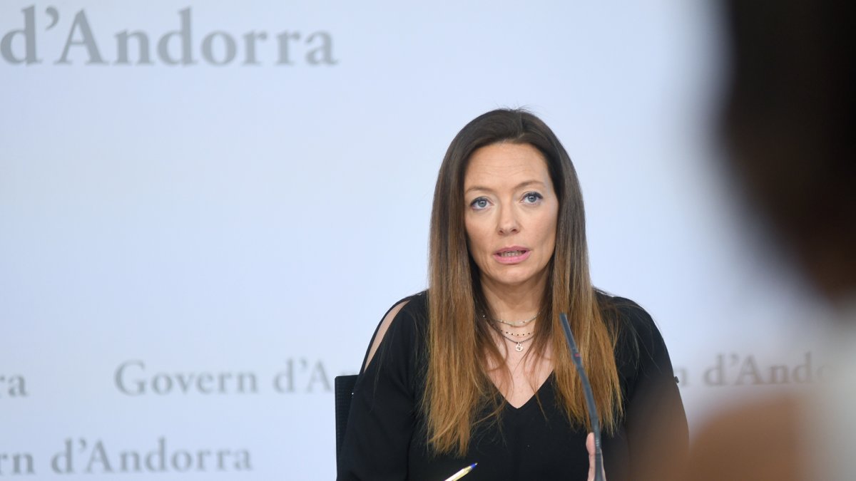 Helena Mas durant la compareixença d'aquesta tarda