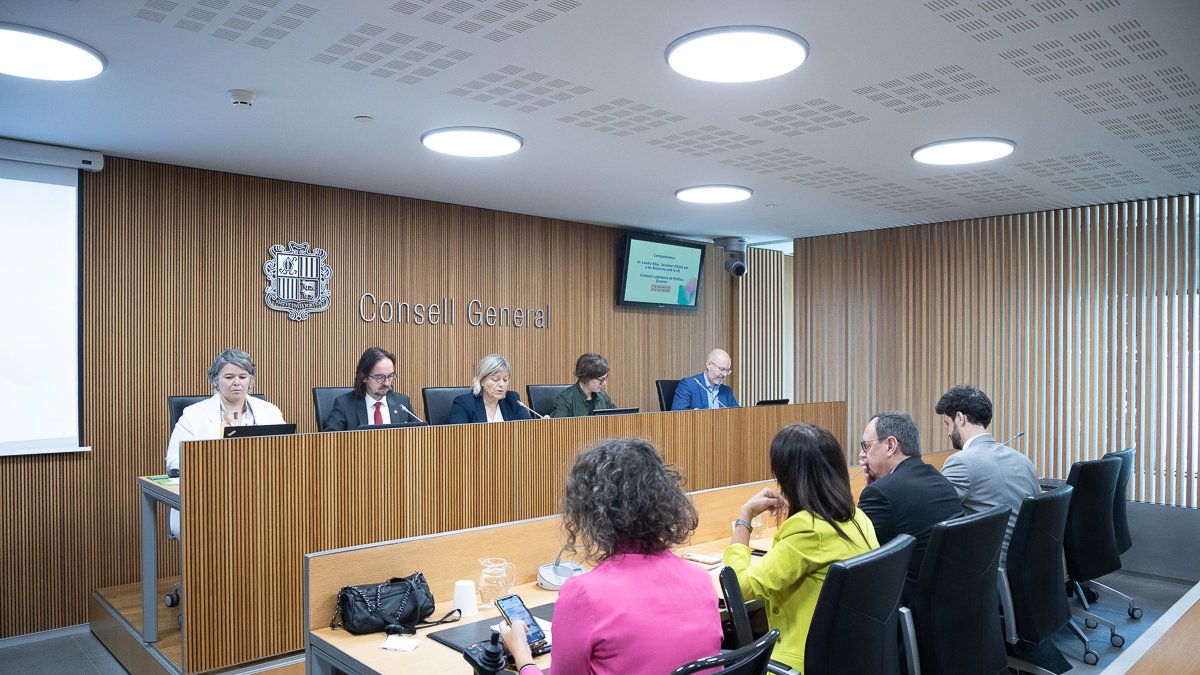 Landry Riba en la compareixença avui al Consell General