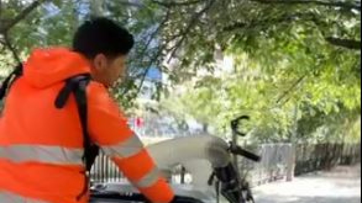 Una de les màquines adquirides.