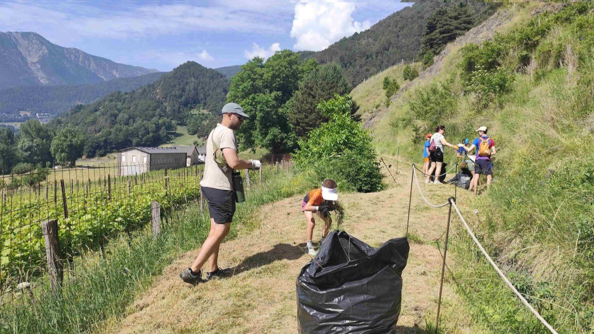 Voluntaris arrencant les plantes.