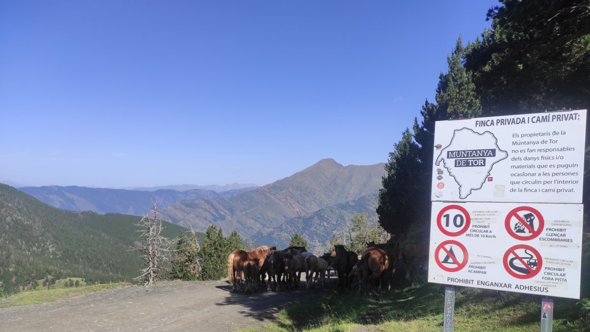 El cartell actual que adverteix de les normes per accedir a Tor.