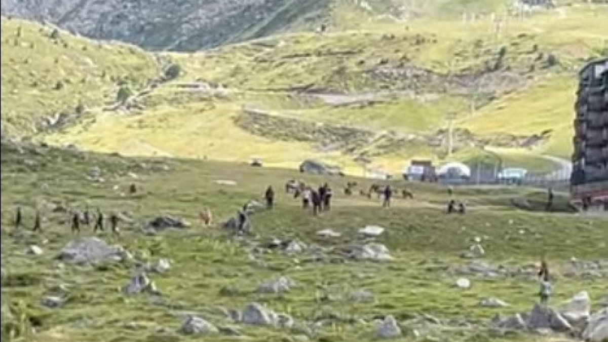 Els presumptes contrabandistes al Pas