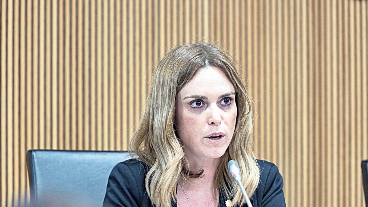 Mariona Cadena ahir al consell general.