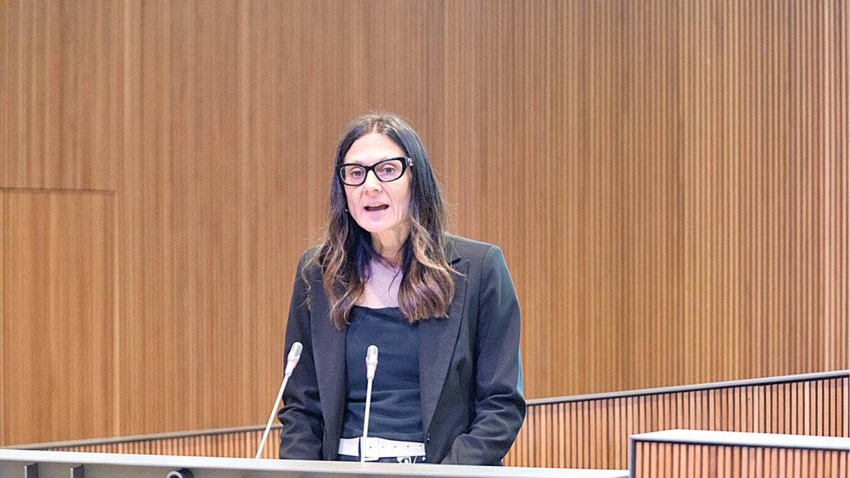 Ester Molné ahir al consell general.