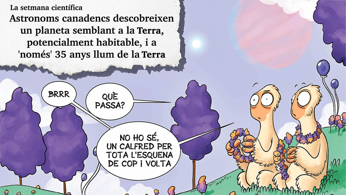 Planellades