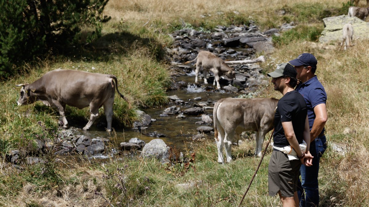 El ministre Guillem Casal i el cònsol menor, Eduard Betriu, a la benedicció del bestiar avui a Ordino