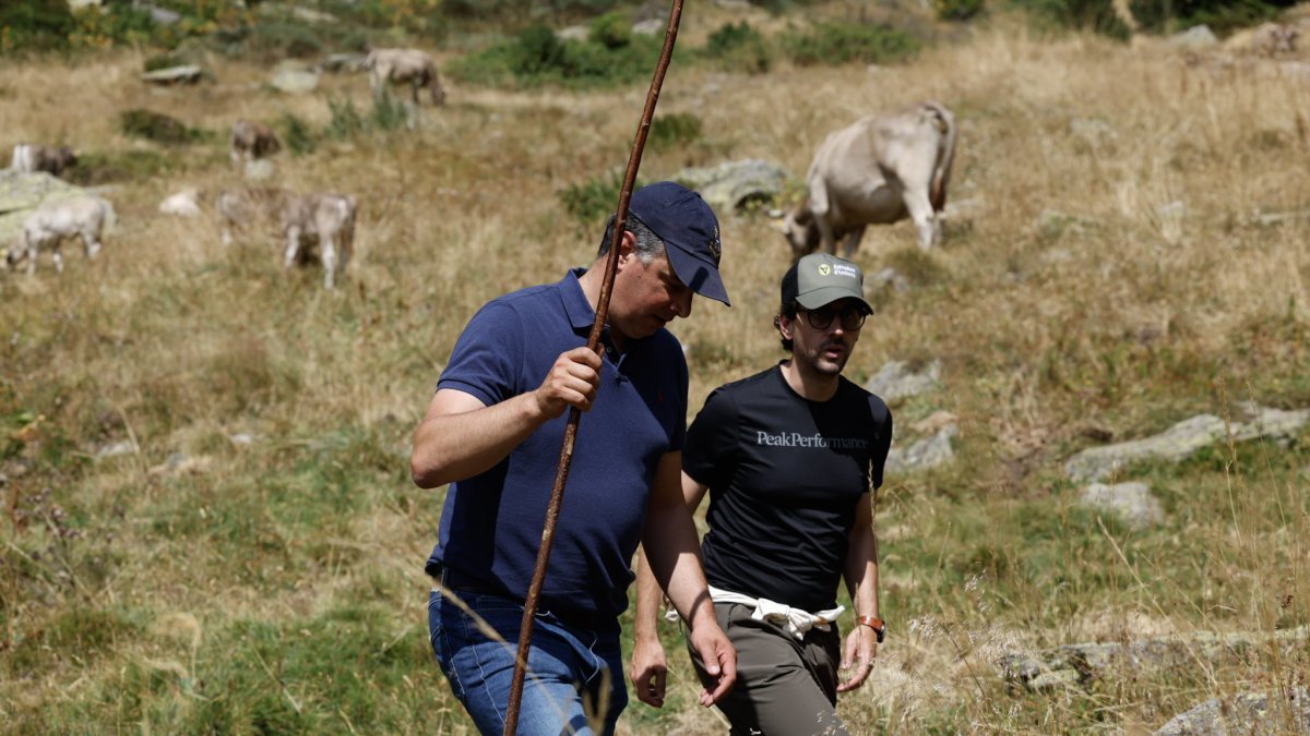 El ministre portaveu, Guillem Casal, a la benedicció del bestiar a Ordino.