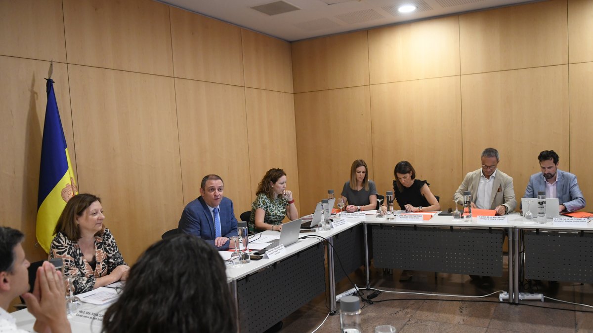 La darrera reunió de la comissió nacional de la infància i l'adolescència