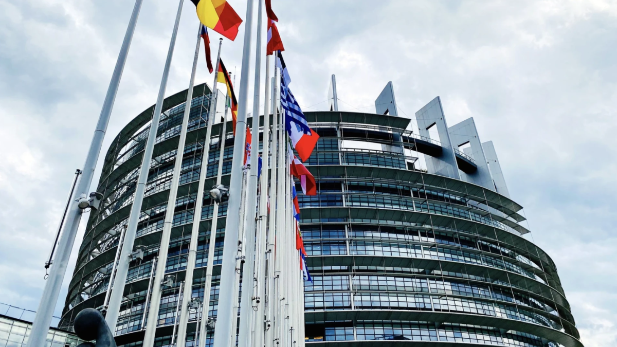 El parlament europeu.
