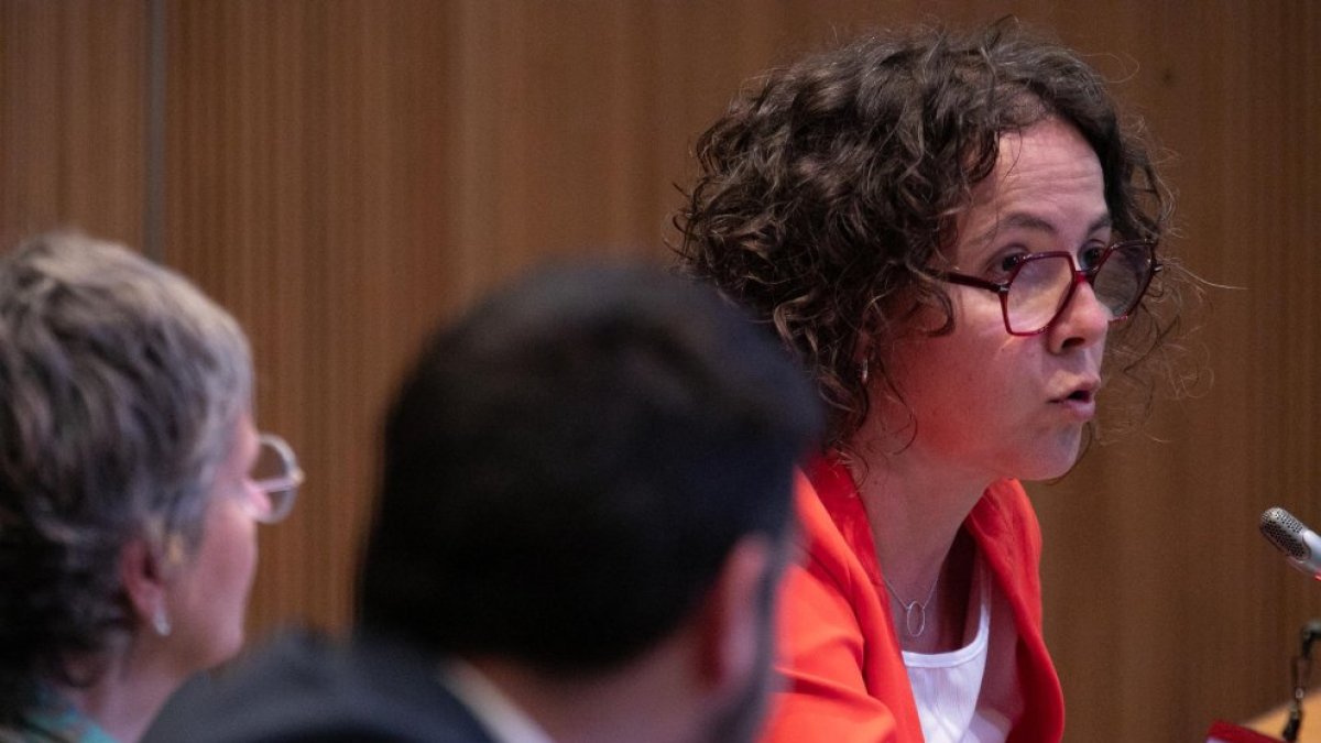 La presidenta del Grup Parlamentari Socialdemòcrata, Judith Casal