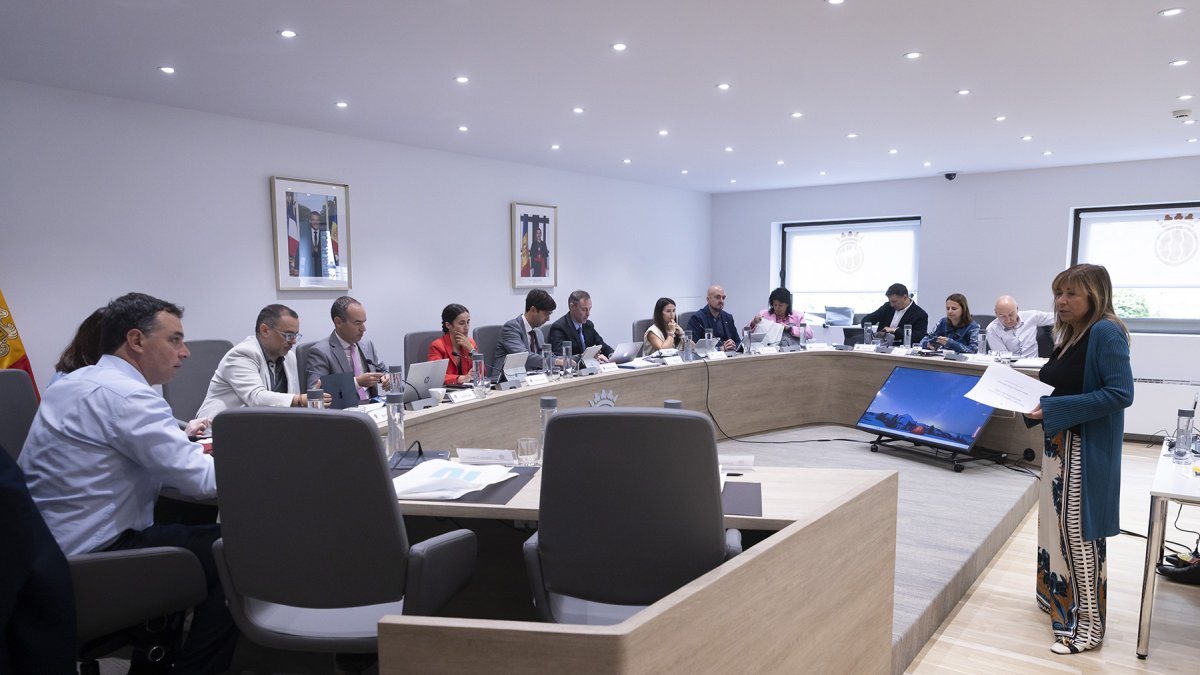 Marsol presentant el projecte als cònsols.