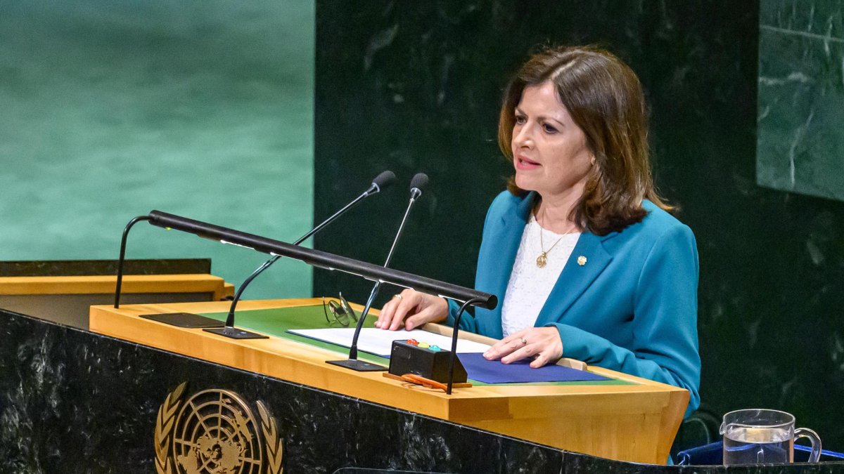 Imma Tor en el discurs a l'ONU per anunciar el reconeixement de Palestina amb condicions