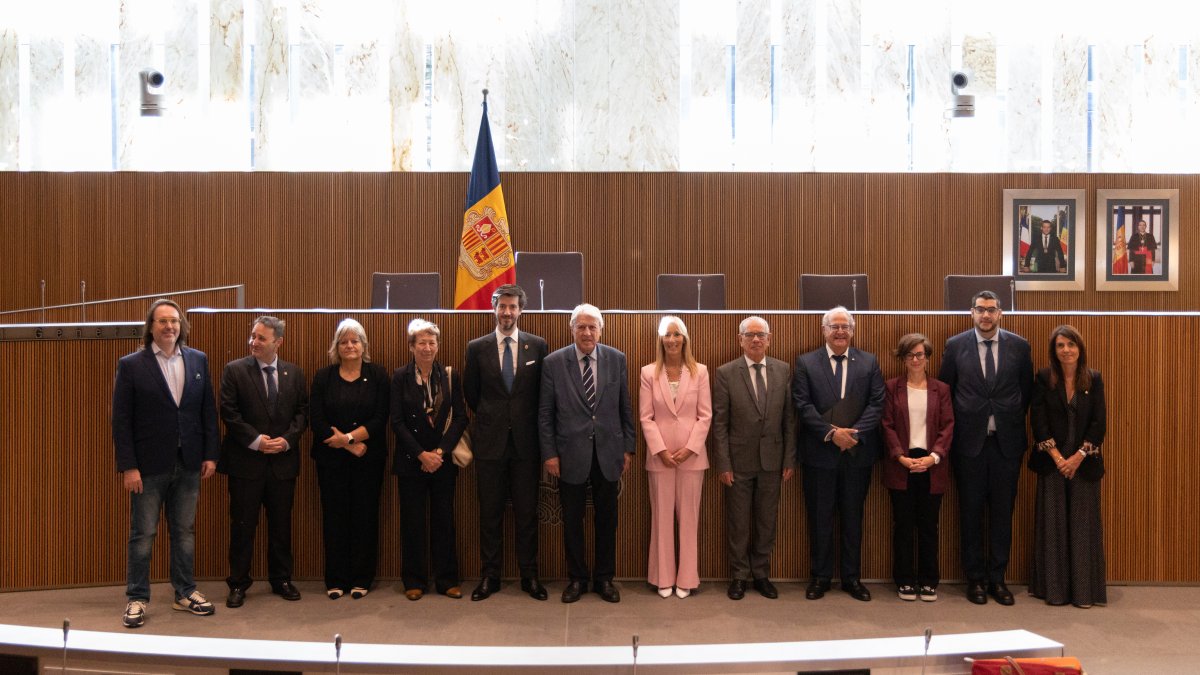 El grup d'amistat Andorra-França al Consell General.