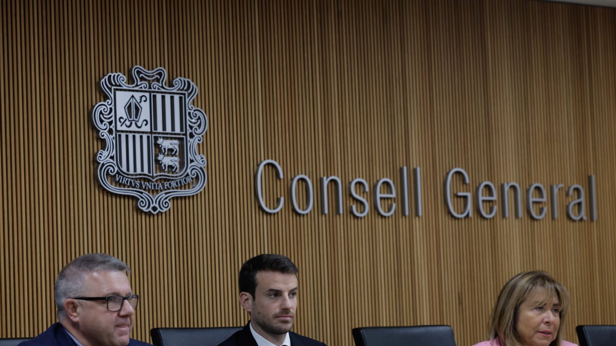 Conxita Marsol durant la compareixença avui al Consell General