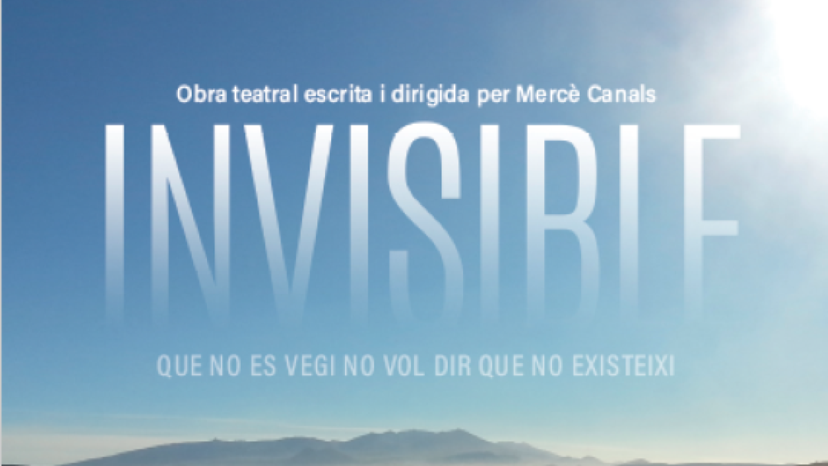 Cartell de l'obra invisible AMMA