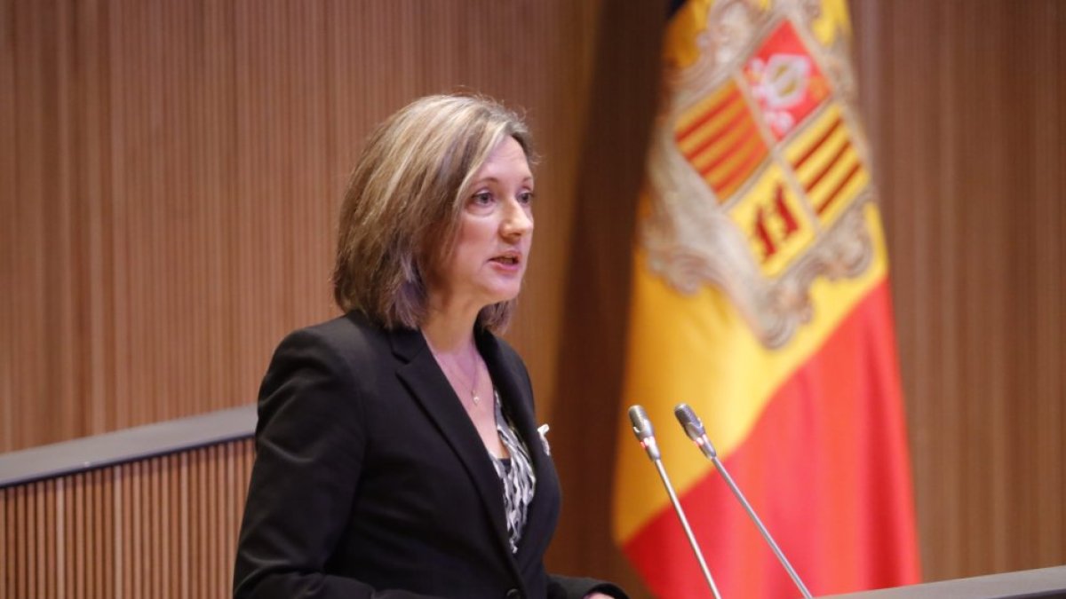 Maria Àngels Aché al Consell General.