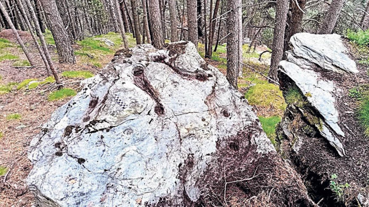 Un dels gravats rupestres d’Encamp.