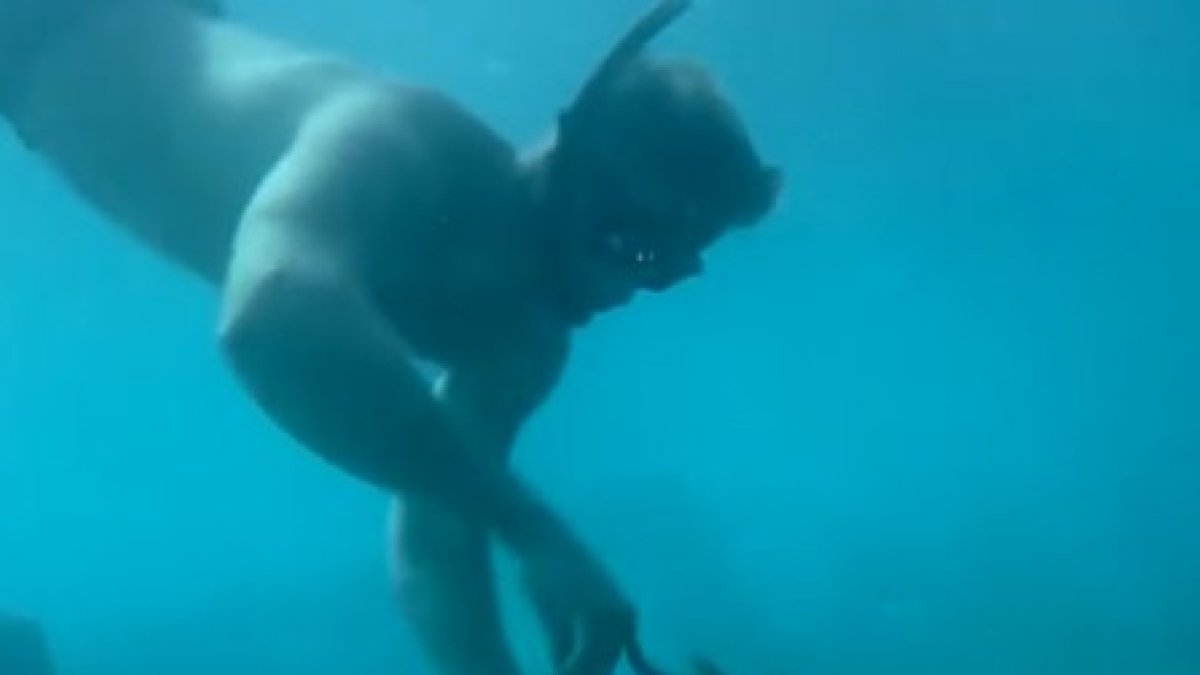 Un home es fa amic d'un pop