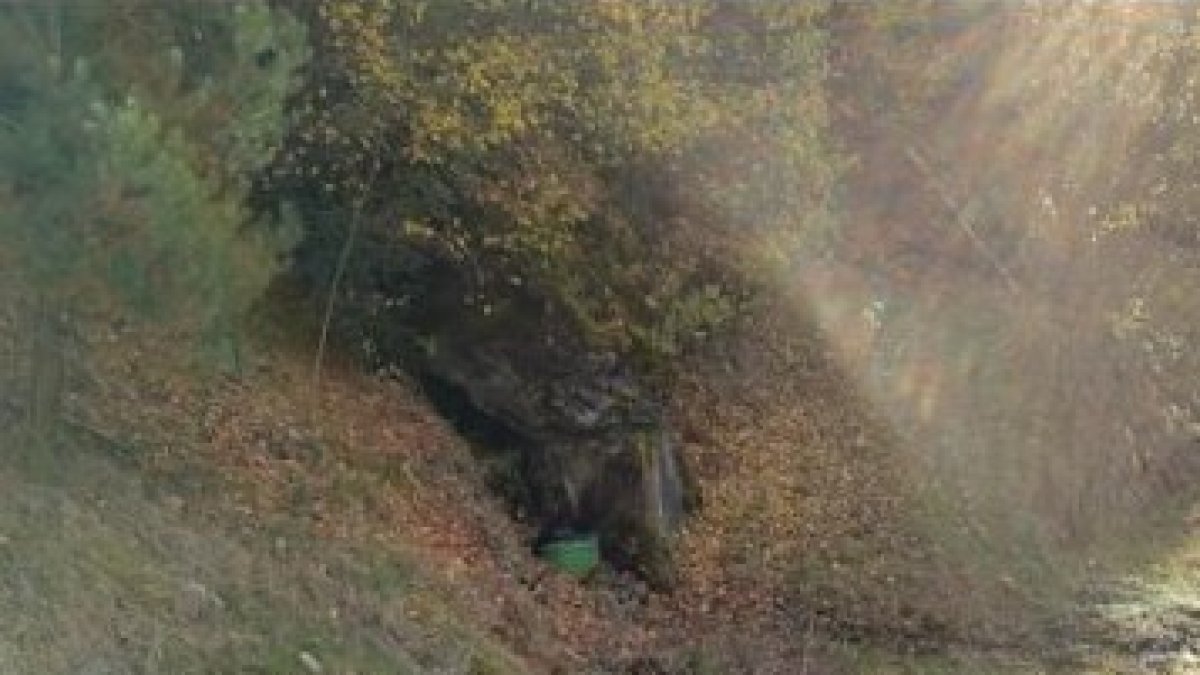 Un dels indrets on es vol plantar l'hort