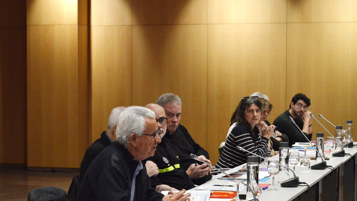 Un moment del consell consultiu de la ciutat amiga de la gent gran.