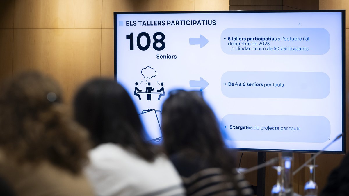 Un moment del consell consultiu.