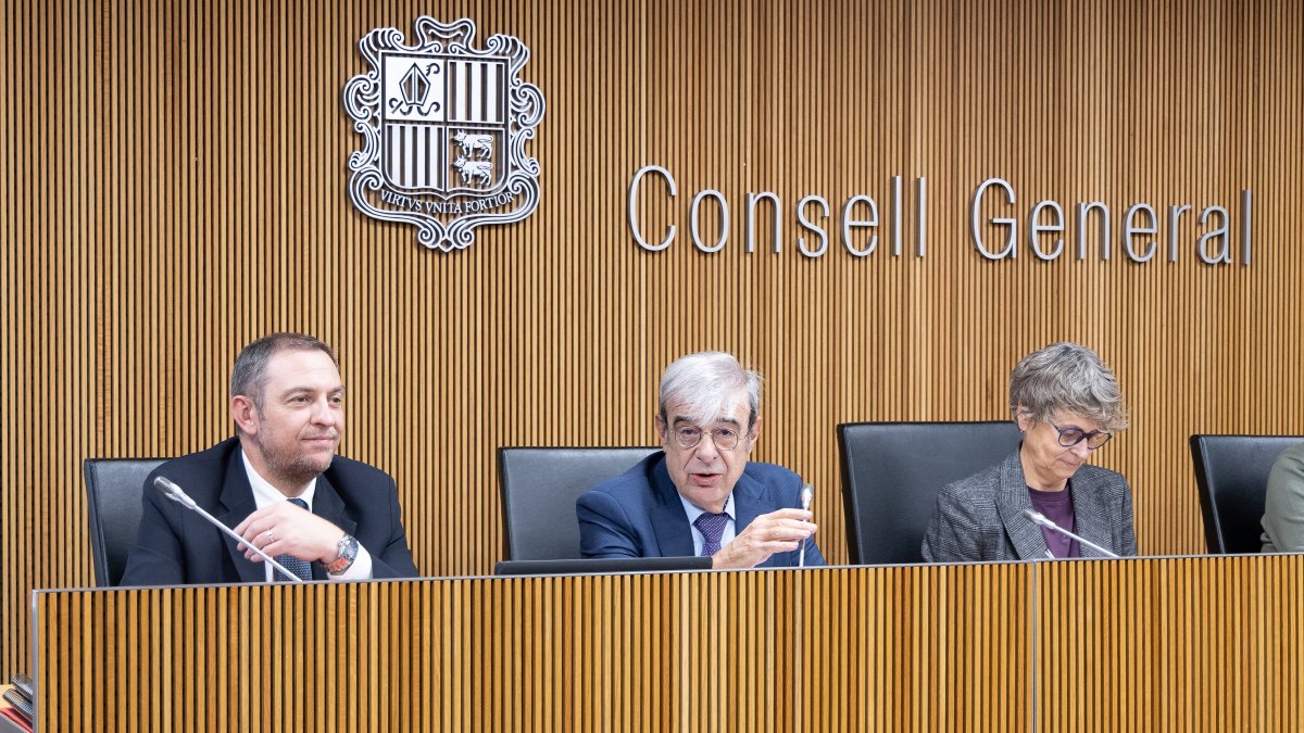 El ministre d'Educació, Ladislau Baró, durant la compareixença al Consell General.