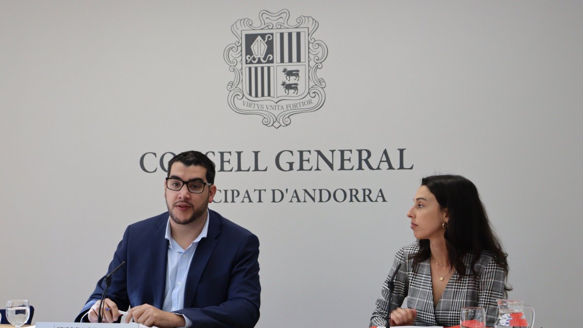 El líder del PS, Pere Baró, durant la compareixença aquest matí al Consell General.