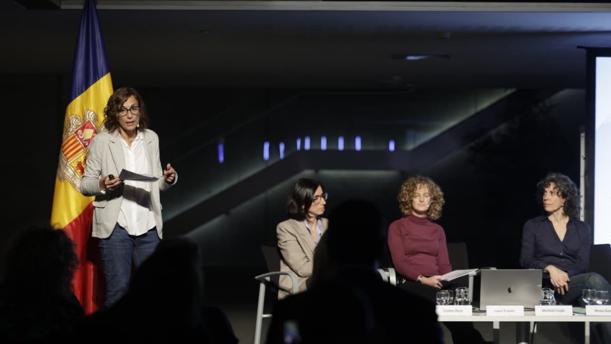 La doctora del SAAS, Cristina Royo, durant la conferència d'aquesta tarda al Consell General.