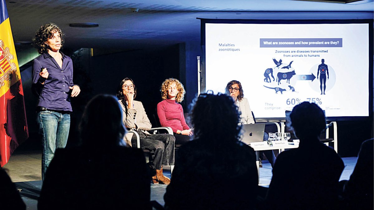 Taula rodona sobre canvi climàtic i salut, al Consell General.