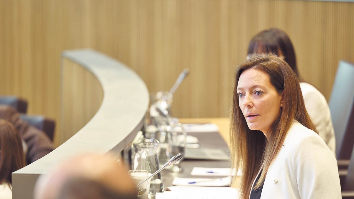 La ministra de Salut, Helena Mas, al Consell.