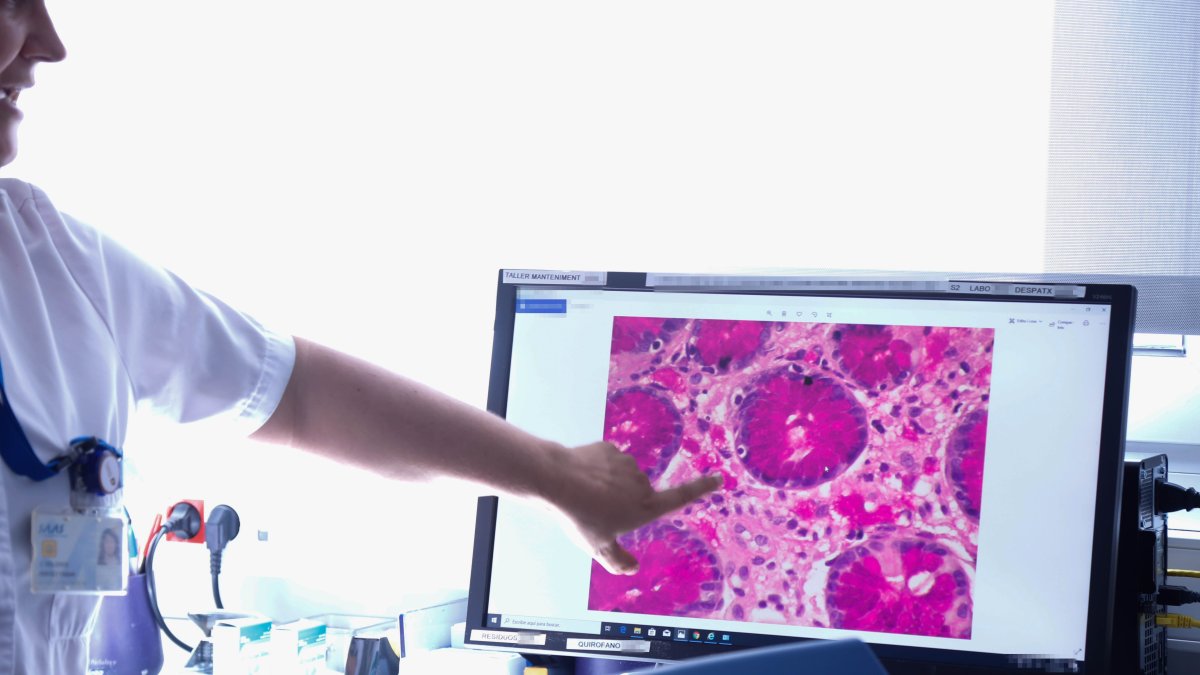 La unitat ha atès 288 consultes externes.