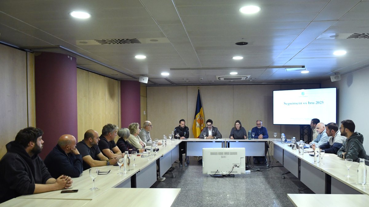 La reunió del seguiment de l'os bru realitzada aquesta tarda.