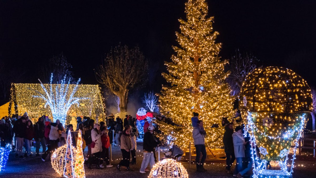 Els primers visitants després de l’acte d’inauguració, ahir.